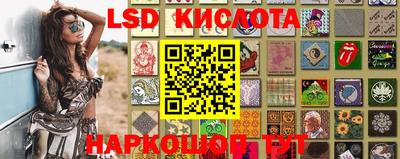 прущие грибы Рязань