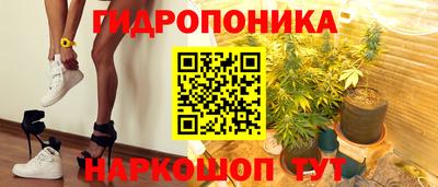 прущие грибы Рязань
