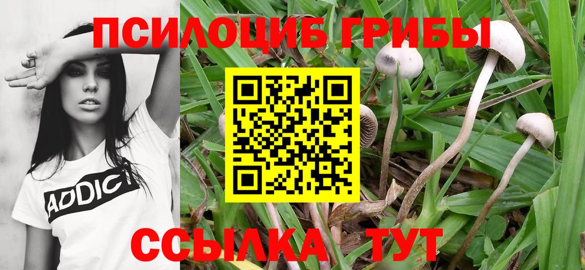 Псилоцибиновые грибы мухоморы  Галлюциногенные грибы мицелий  Нижнекамск  Вход с VPN 